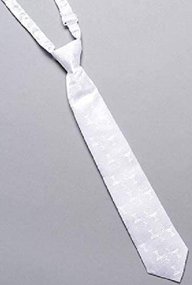 Boys First Communion Tie Ties in White 13