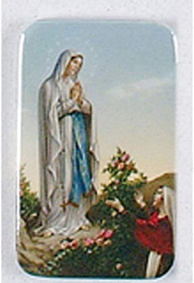 12pc Catholic & Religious Gifts, CAR Magnet Our Lady of Lourdes