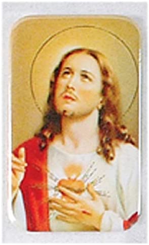 12pc Catholic & Religious Gifts, CAR Magnet Sacred Heart of Jesus #1