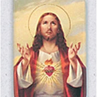 12pc Catholic & Religious Gifts, CAR Magnet Sacred Heart of Jesus #3