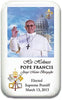 12pc Catholic & Religious Gifts, CAR Magnet Pope Francis; 1.75" X 2.75"