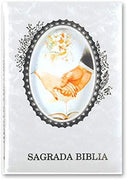 Catholic & Religious Gifts, HOLY Bible Silver English Size 6"X 8.5" (Big)