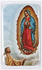 12pc Catholic & Religious Gifts, CAR Magnet OL Guadalupe Diego