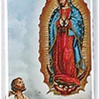 12pc Catholic & Religious Gifts, CAR Magnet OL Guadalupe Diego