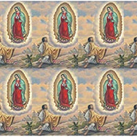 Catholic & Religious Gifts, 8UP OL Guadalupe with Diego 25/200