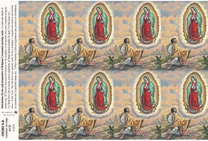 Catholic & Religious Gifts, 8UP OL Guadalupe with Diego 25/200