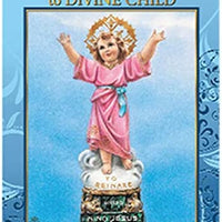 12pc Catholic & Religious Gifts, NOVENA to Divine Child 12 Pages
