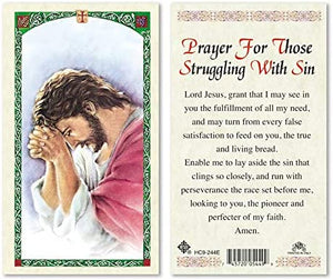Catholic & Religious Gifts, Jesus Praying - Struggling with SIN 25/PKG