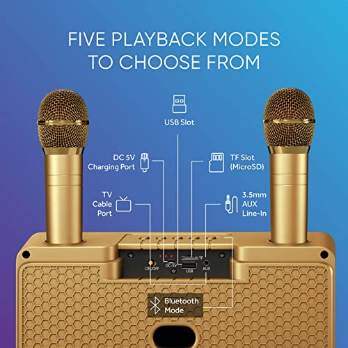 Macchina Karaoke Portatile Masingo G2 Con 2 Microfoni Wireless, Luci LED E Supporto Tablet - Rosa