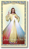 Christian Brands Divine Mercy Holy Card - 100/pk