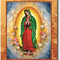 12pc Catholic & Religious Gifts, NOVENA to Our Lady of Guadalupe 24 Pages