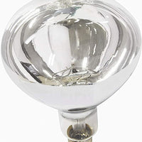 10 PACK CLEAR Infrared Heat Lamp Light Buffet Food Warmer Bulb 250Watt