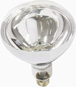 10 PACK CLEAR Infrared Heat Lamp Light Buffet Food Warmer Bulb 250Watt