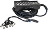 Stellar Labs Cable, 3Pos XLR Plug-Jack, 8Port, 32Ft