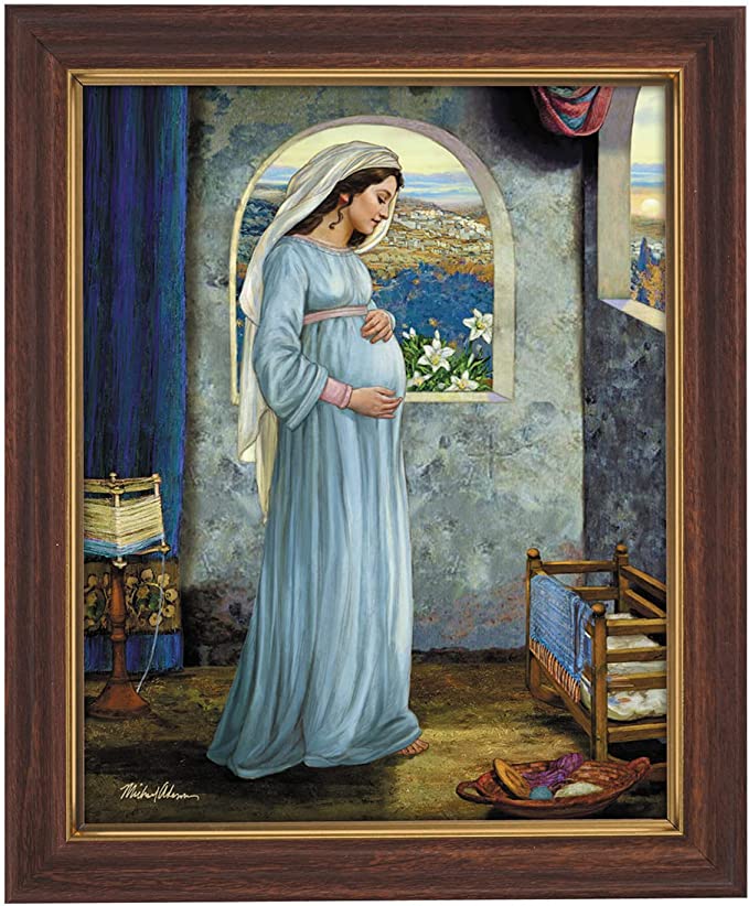 Mary, Mother of God Framed Print